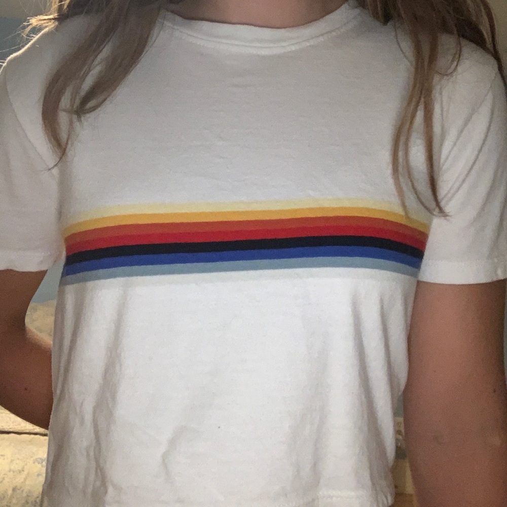 Brandy melville rainbow crop top